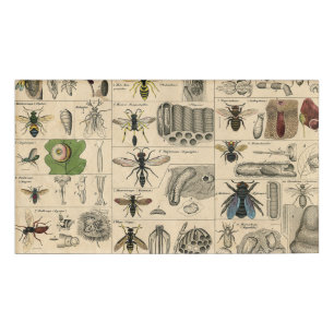 Badge D'identification Abeille Insecte Bug Wasp Nature Peinture des abeil
