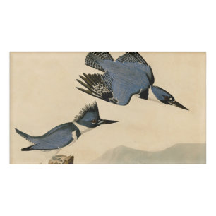 Badge D'identification Audubon Belted Kingfisher Wildlife Bird