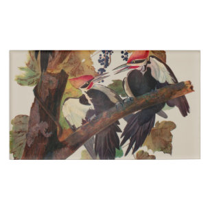 Badge D'identification Audubon Peinture d'Oiseaux Pic Pilé