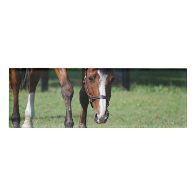 Badge D'identification Cheval quart magnifique (Devant)