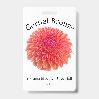 Badge d'identification Dahlia Bronze Cornel