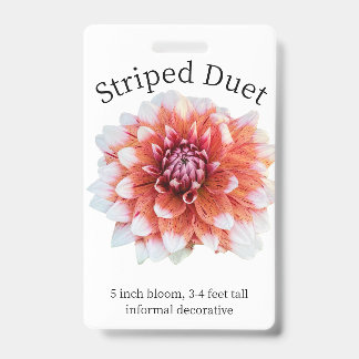 Badge d'identification Dahlia Duet strié