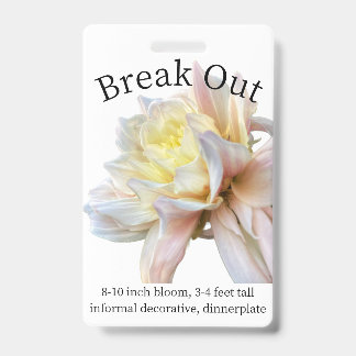 Badge d'identification de Dahlia à détacher