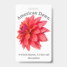 Badge d'identification de Dahlia de l'aube américa