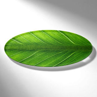Badge D'identification Feuille verte
