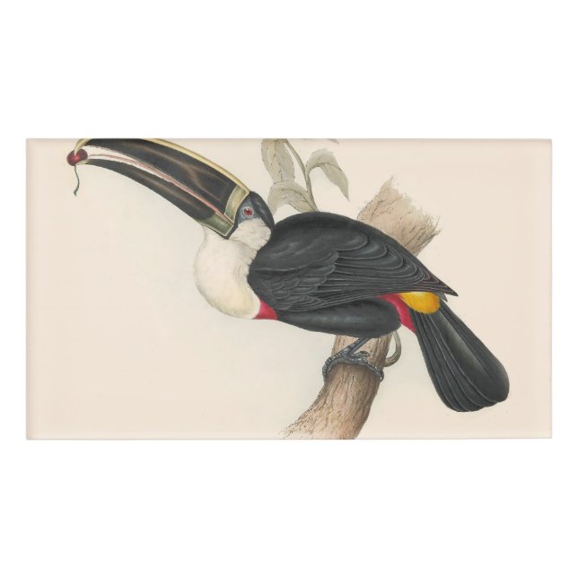 Badge D'identification Peinture animalière d'antiquités Toucans (Devant)