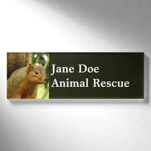 Badge D'identification Portrait d'un écureuil Nature Animal Photographie