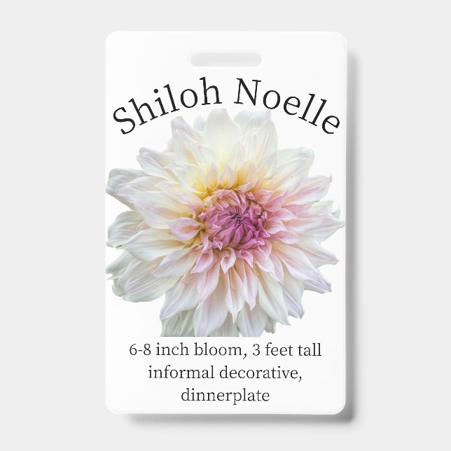 Badge d'identification Shiloh Noelle Dahlia (Avant)