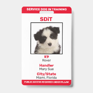 Badge d'information SDiT (Chien de Service en Form
