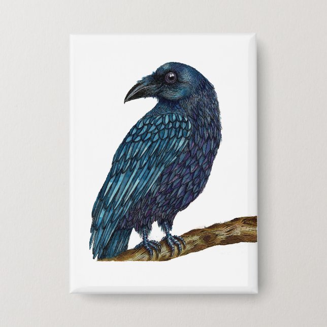 Badge d'oiseau Blue Raven (Recto)