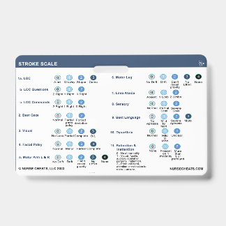 BADGE ÉCHELLE DE DÉMARRAGE