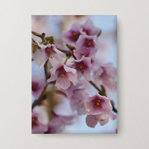 Badge en fleurs de cerisier rose