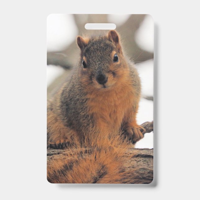 Badge Faux possum (Avant)