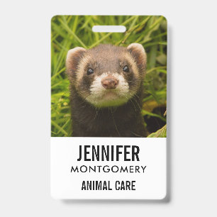 Badge Ferret Brown dans l'herbe