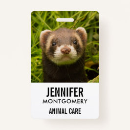 Badge Ferret Brown dans l'herbe
