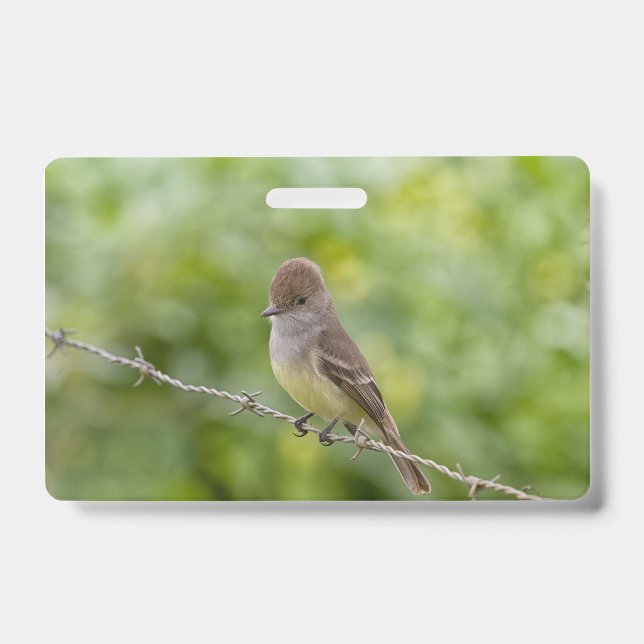 Badge Gobemouche (Avant)