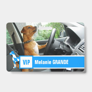 Badge Grand Danois