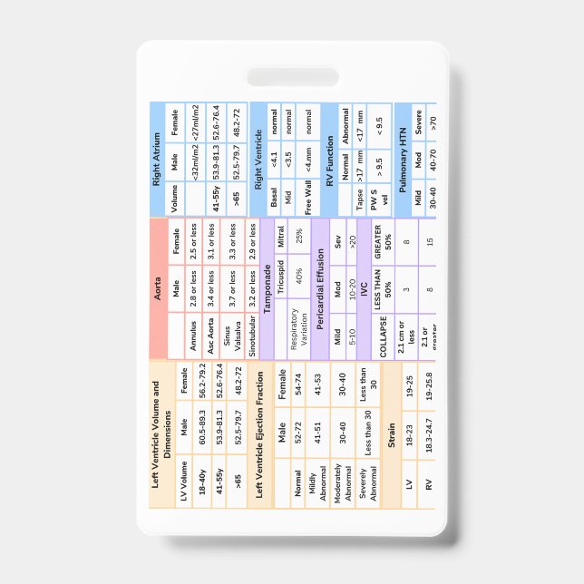 Badge Guide de référence rapide d'un insigne Echo (Face)