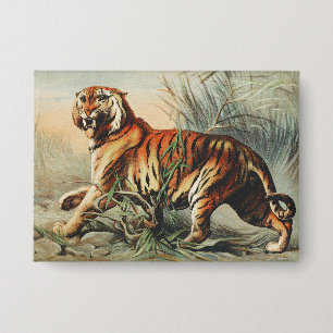 Badge Impression d'art naturaliste vintage du tigre roya