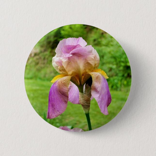 Badge Iris Learé (Devant)