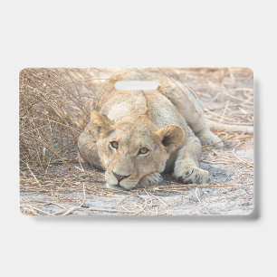 Badge Jeunes lions