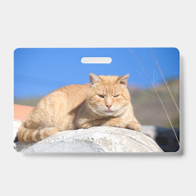 Badge Lazy cat (Avant)