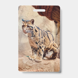 Badge léopard nébuleux image nature faune exotique