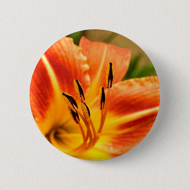 Badge Lily Orange Tiger (Devant)
