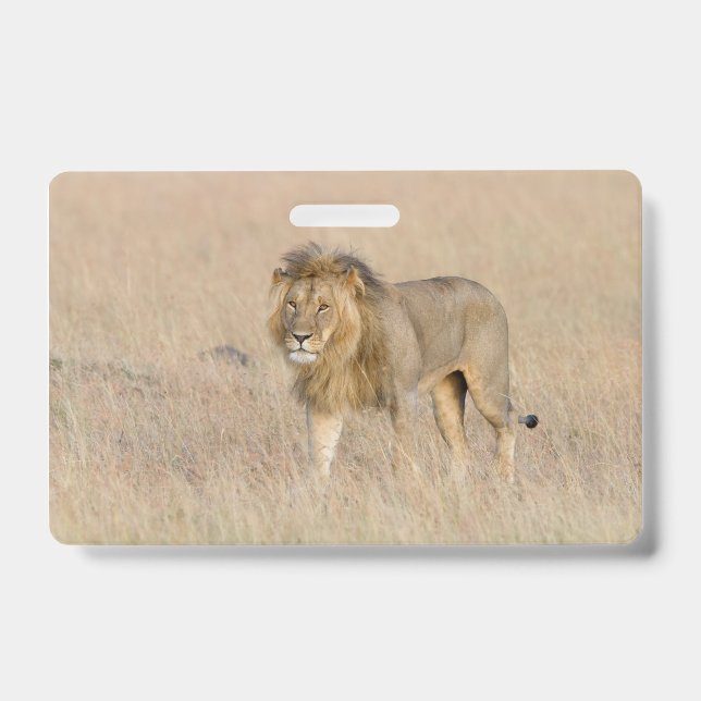 Badge Lion marche (Avant)