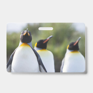 Badge Manchots royaux