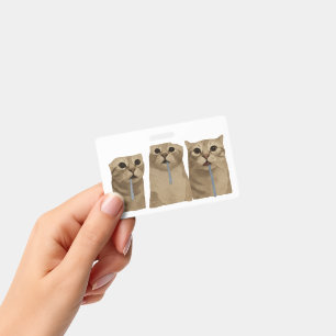 Badge Mème des triples chats idiots baveux