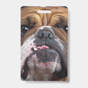Badge Oreillers à lancer de Bulldog anglais
