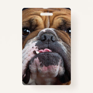 Badge Oreillers à lancer de Bulldog anglais