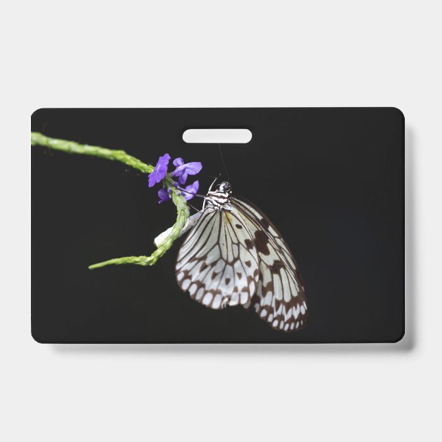 Badge Papillon (Avant)