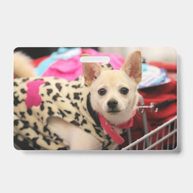 Badge Petit aide (Avant)