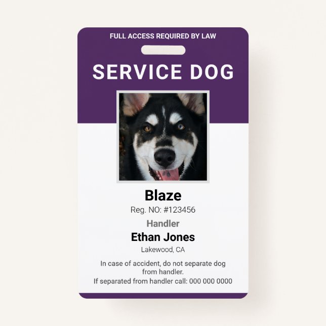 Badge Photo de chien de service violet (Devant)