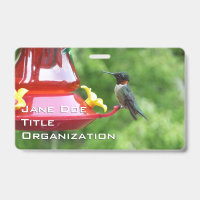 Photographie d'oiseau Colibri à gorge rubis