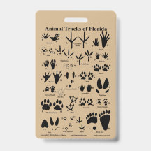 Pistes animales de Floride