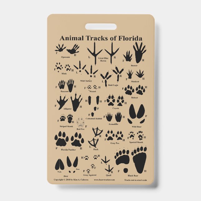 Badge Pistes animales de Floride (Avant)