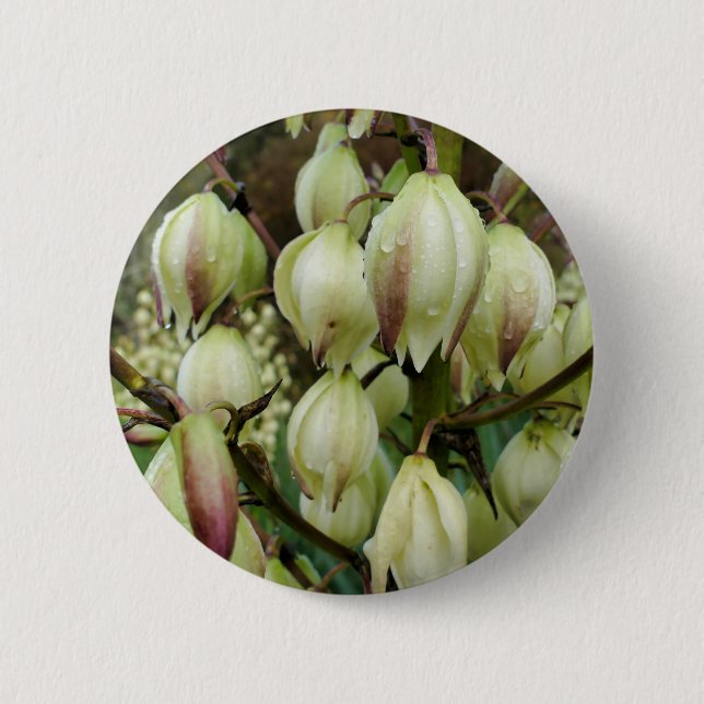 Badge Plante du Yucca (Devant)