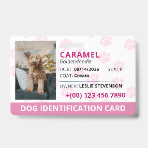 Badge Plaque d'identification de chien avec photo et nom
