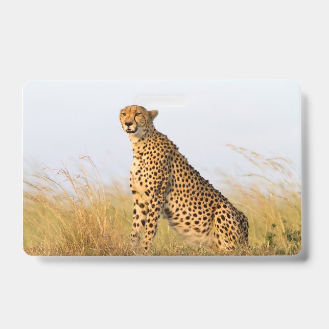 Badge Portrait de guépard (Avant)
