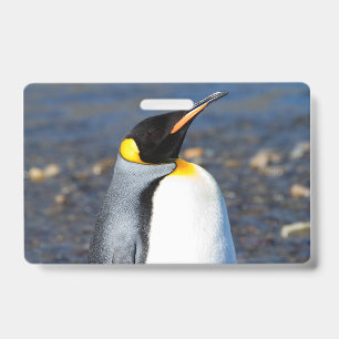 Badge Portrait de manchot
