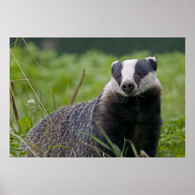 Badge Print Poster (Vorne)