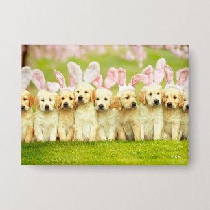 Badge Rangée de lapins chiots
