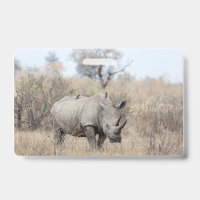 Rhinocéros blanc