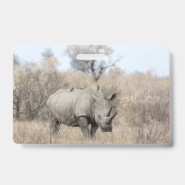 Badge Rhinocéros blanc (Avant)