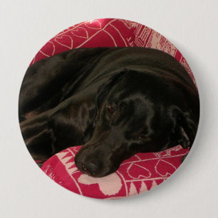 Badge Rond 10 Cm Bouton chien endormi