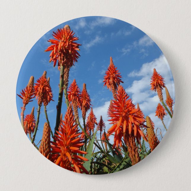 Badge Rond 10 Cm Bouton d'Arborescens d'aloès (Devant)