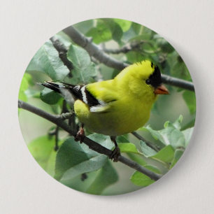 Badge Rond 10 Cm Bouton de chardonneret